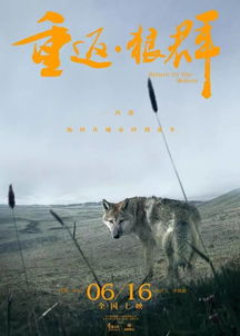 第一章：狼群围攻之象：阴阳交错与冲煞困局