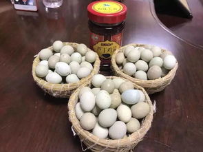 1.2 微量功能性成分及生物活性物品谱系