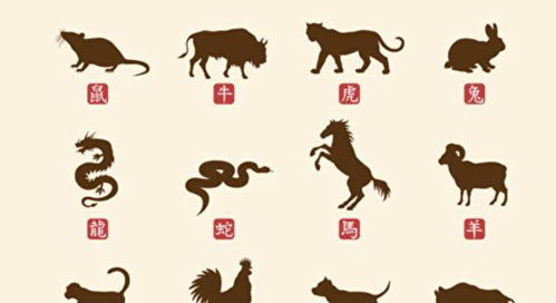 2026年哪些属相的人最适合生育，当年出生的宝宝属什么生肖最吉利？