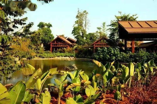 竹楼与爱情的故事