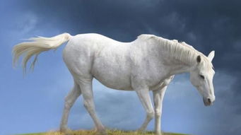 二、  农历七月上旬初八的深度评注与时空方位分析