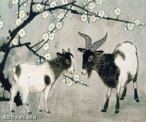 5. 属羊者与羊图之相冲