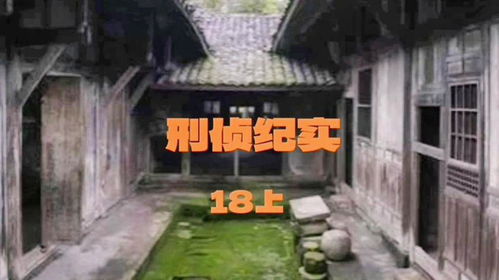案例解析