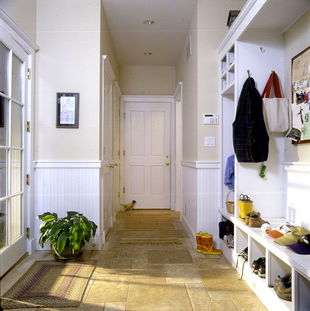 救命！植物摆错位置会克死老公？