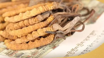 一、  白虎汤的药理溯源与历史持续发展范式的沉重构