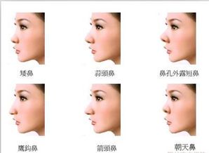 二、嘴巴和钱袋子的神秘关系