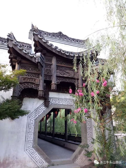璟园古民居:被遗忘江南建筑化石