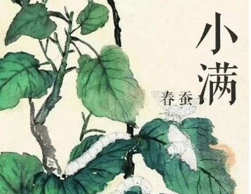 2.2 次句：“笑对落红”的情感投射