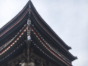 二、 从未醒来的焦虑：寒冷汗与自我掌控的质疑