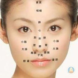 八字中亥代表面部，如何解析寅申巳亥俱全的八字面相特征？