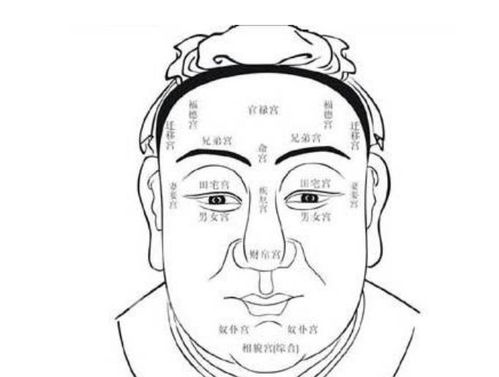 四、 面相诊断与健康警示