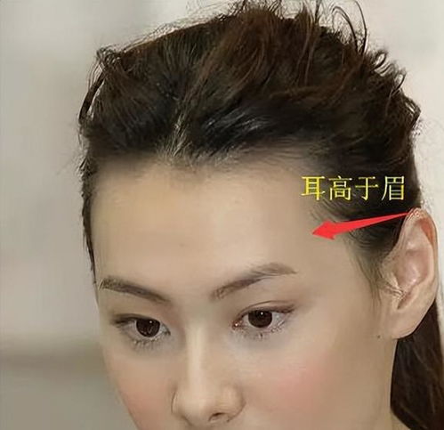 三、 小巧面容整体印象及其跨学科解读