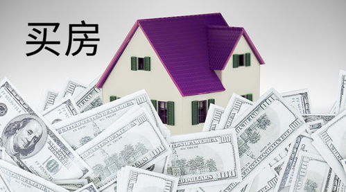 居住舒适度与功能性评估