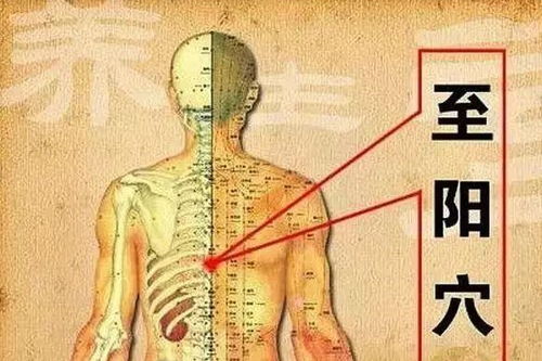 人体阳气的本质及其影响因素