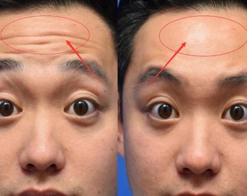 一、 中正严谨与自力梗生的性格底色