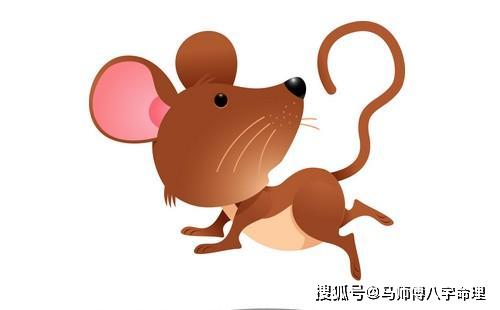 老鼠的八字与哪些八字最为相配？