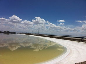 第一站：察尔汗盐湖——谁说只有茶卡才好堪？