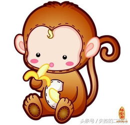 95年属猪和93年属鸡的婚姻配对是否和谐？