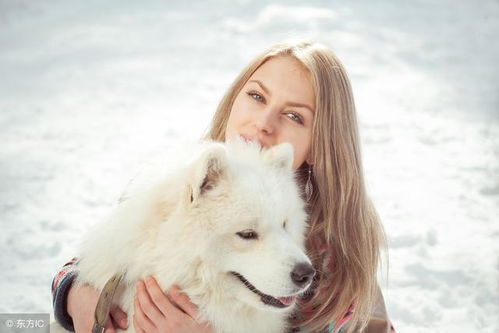 将大家闺秀打一生肖，这个生肖是哪个呢？