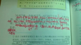 田婷婷带队走访调研部分企业