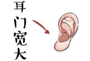 耳廓形态与富贵荣华的符号关联
