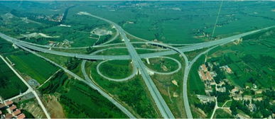 御花园里的猫比人还拽