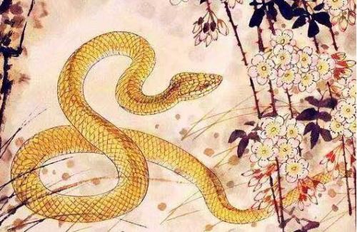 文献综述与方法论