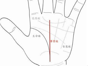 起自感情线的晚成之路