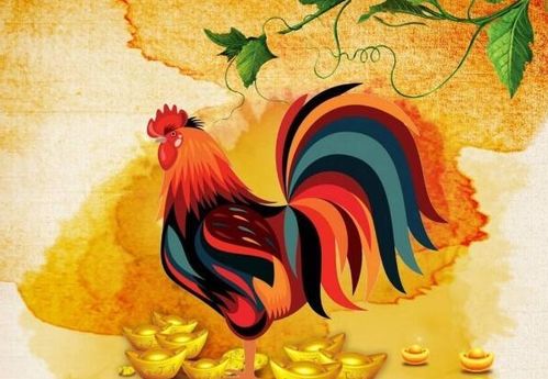 1969年属什么生肖，69年属鸡的最佳婚配对象是谁？