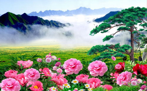 三、生肖星座与个人命理