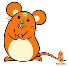 哪些生肖属土？请详细介绍属土生肖的特点和性格？