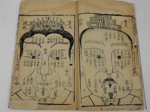 十二生肖的前世今生