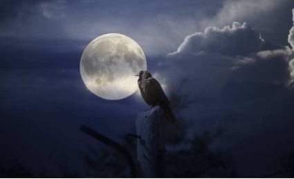 月圆之夜的诡异事件