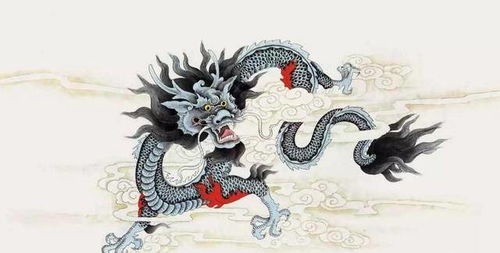 相较于其他生肖的孝顺表现差异探讨