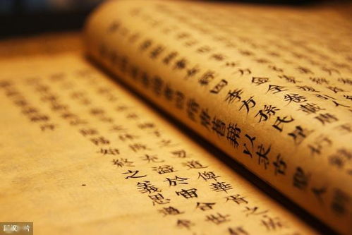 二、 文本解构：名言与日记碎片中的恐慌叙事