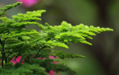 三、  对家庭运势与人际关系的多维影响