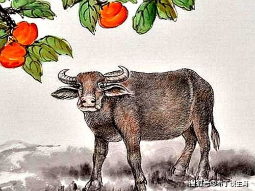 （二）2013年属牛者（蛇年）