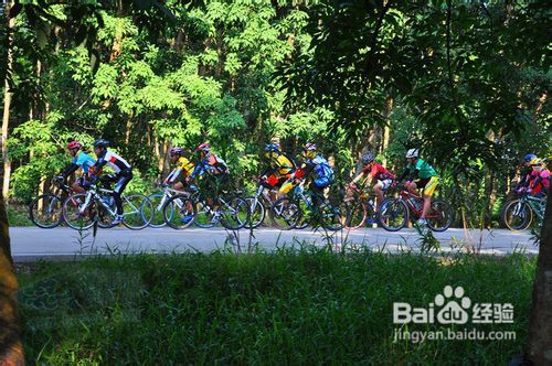 2.1 老榕树客栈——晨起海风与渔夫故事