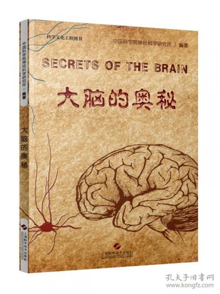巫秩：混沌中的秩序与狂热