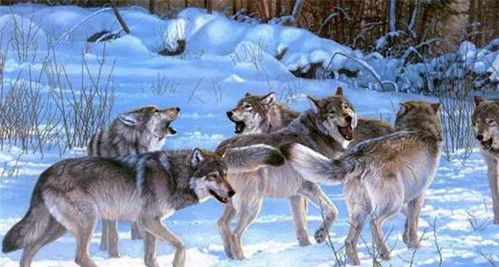Aesop’s Wolf Revisited Through  Lenses of Zodiacal Symbolism and Feng‑Shui Cosmology