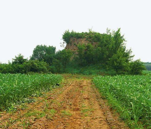 2026年坐北朝南坟墓适合动土的吉日是哪天？