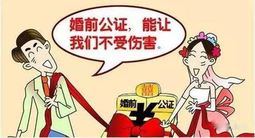 实践提议: 婚前筹划中的理性决策路径优化