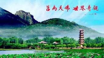 森林浴：呼吸新鲜空气与感受自然之美