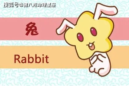 2026年属兔人的事业运势如何，具体事业运程意味着什么？