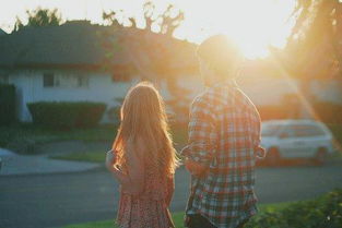 （一） 生肖鼠与牛的和谐共振