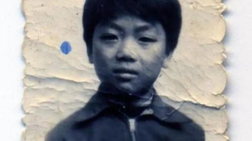 成长史：从被遗弃到半吊子“大师兄”