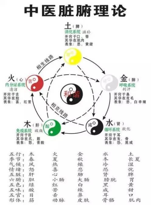 如何根据每日五行易经来调整每日穿衣搭配？