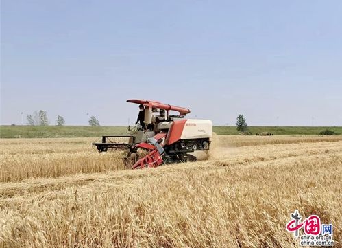 黄道吉日的溯源与内涵