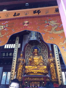 川流不息的景象嫩对应哪个生肖呢？