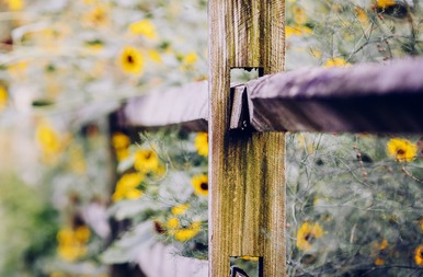 观音灵签71是下签吗？签文暗示了什么不吉利的预兆？